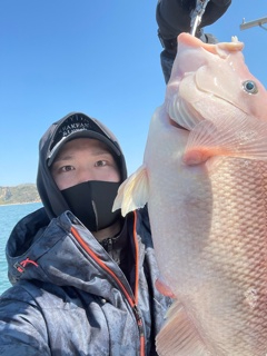 ズズキ・鯛・アコウ・ヒラメ